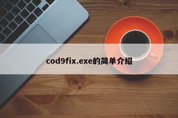 cod9fix.exe的简单介绍