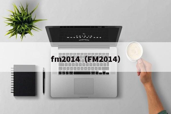 fm2014（FM2014）